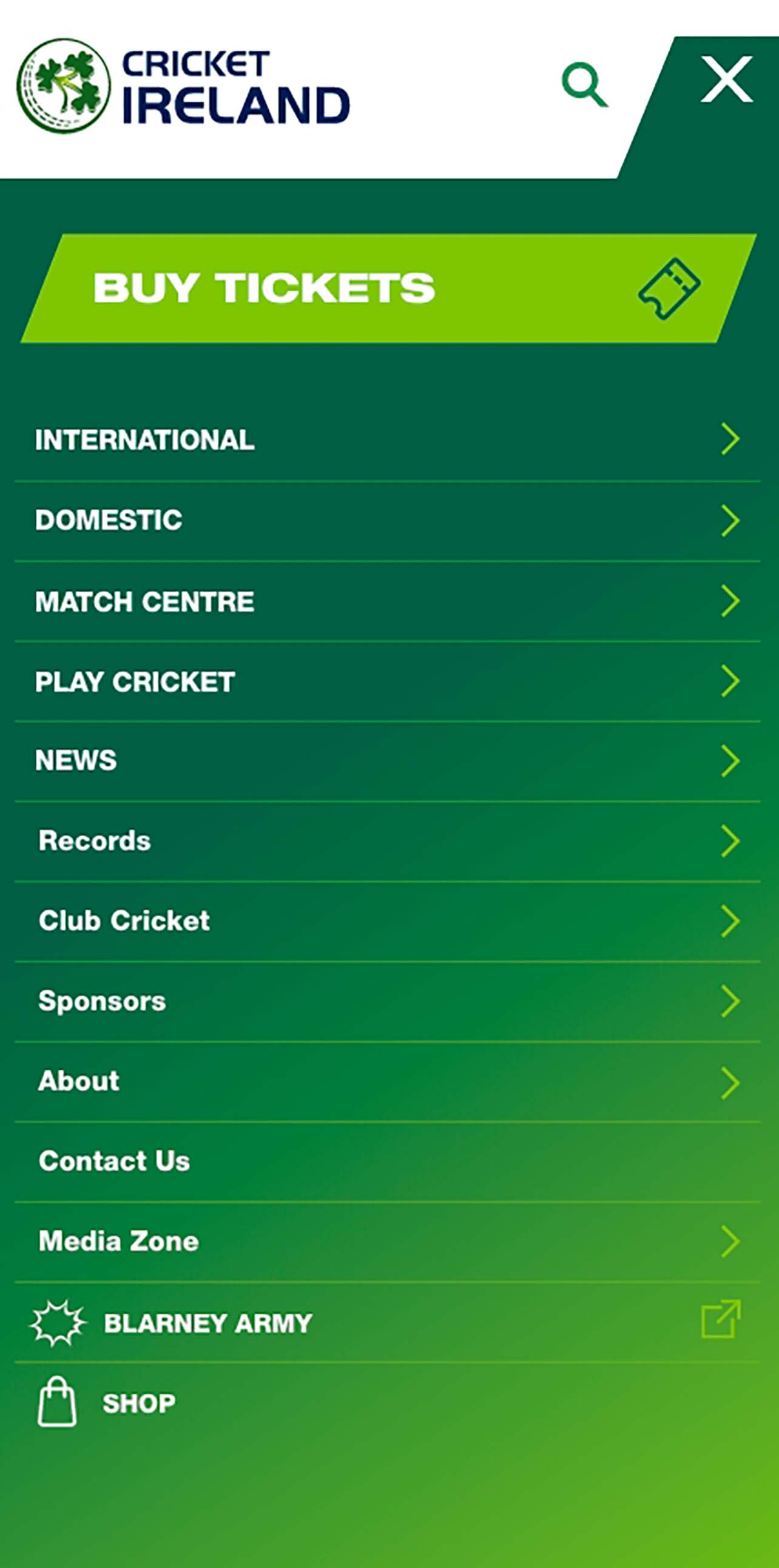Cricket Ireland Mobile Web Design